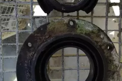 455650270_491677926817834_6839002054316630508_n