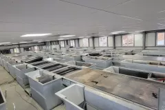 IMG-20221020-WA0017